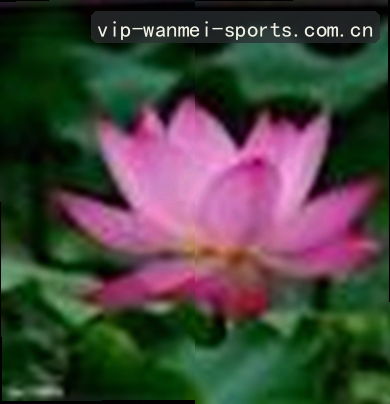 周明